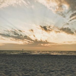 playa clearwater
